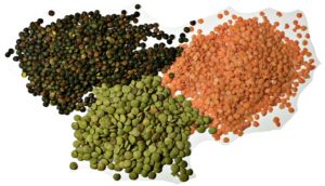 Dal & Gedagudi