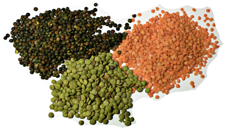 Dal & Gedagudi